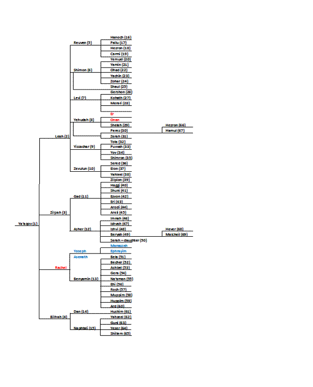 geneology chart